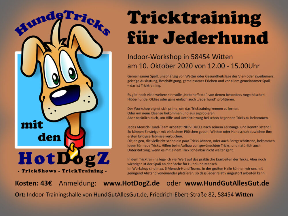 Tricktraining - Workshop - Ausgebucht!