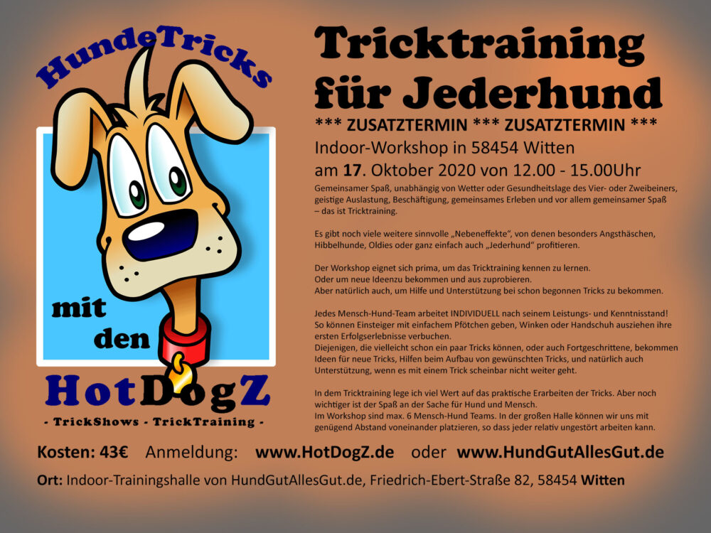 Tricktraining - Workshop - Zusatztermin!