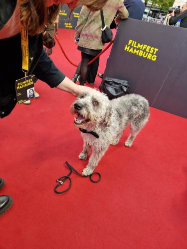 Deutschlandpremiere Babystar auf dem Filmfest Hamburg 2025