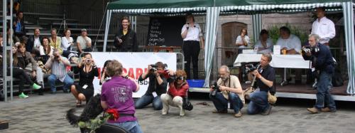 Babelsberg 2010 