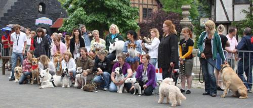 Babelsberg 2010 