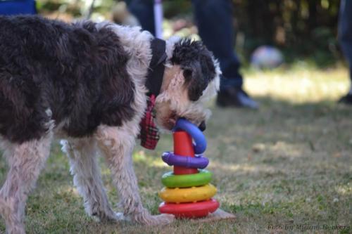 Ringspiel2