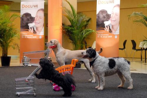 DogLive Einkaufswagen